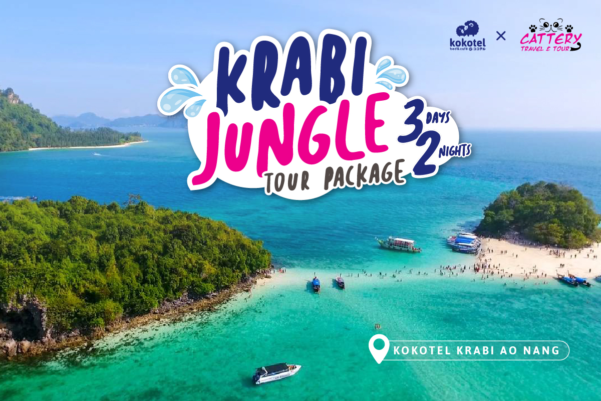 Jungle Tour Package